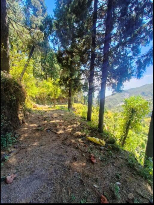 The Hill Story, Entire Chalet, Offbeat,Cozy Mussoorie Esterno foto